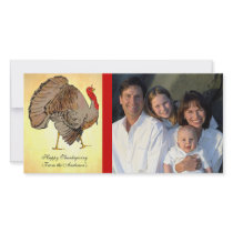 Full Color Thanksgiving Photos photo cards by samack Full Color Thanksgiving Photos photo cards