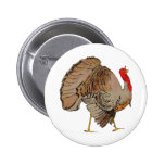Full Color Thanksgiving Turkey Buttons