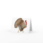 Full Color Thanksgiving Turkey cards