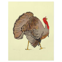Full Color Thanksgiving Turkey Flyer