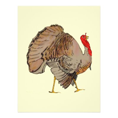 color images of turkeys. Full Color Thanksgiving Turkey Flyer by samack