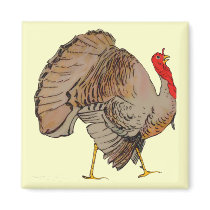 Full Color Thanksgiving Turkey magnets