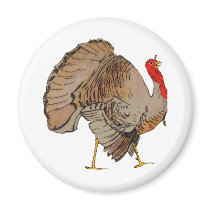Full Color Thanksgiving Turkey magnets by samack Full Color Thanksgiving Turkey magnets
