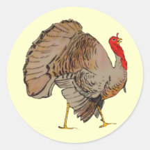 Full Color Thanksgiving Turkey Round Stickers