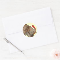 Full Color Thanksgiving Turkey stickers