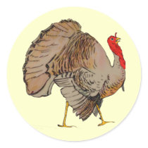 Full Color Thanksgiving Turkey stickers