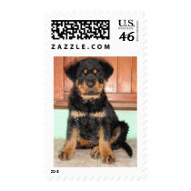 Full Frontal Stamps