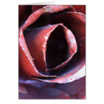 Full Metal Rose Card
