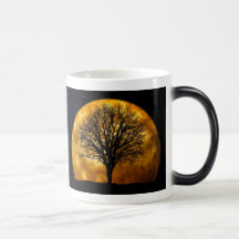 Full Moon and Bare Tree Photo Mug