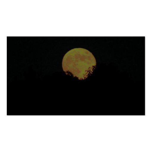 Full Moon Behind The Trees Business Card Template (back side)