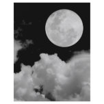 FULL MOON CLOUDS BLACK AND WHITE flyers
