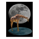 FULL MOON GIRAFFE POSTCARD
