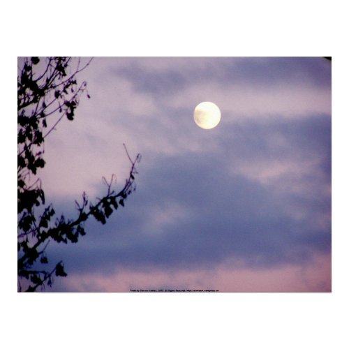 Full Moon in the Winter Sky print