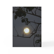 Full Moon Love cards