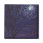 Full Moon Refrigerator Magnet