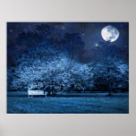 Full moon night in park posters