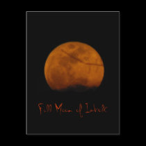 Full Moon of Imbolc postcards