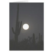 Full Moon over the Desert Card