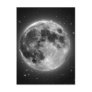 Full Moon Post Card