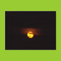 Full moon postcard postcards