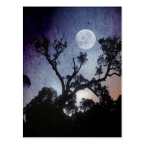 Full Moon Postcard postcards