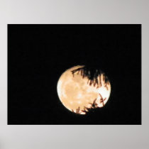 Full Moon Print