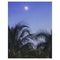 Full Moon rises flyers