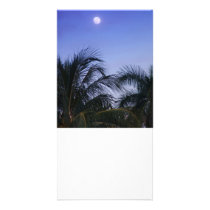 Full Moon Rises photo cards by Debrene Full Moon Rises photo cards