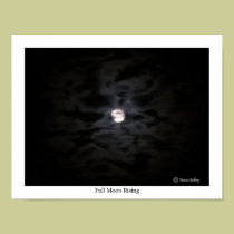 Full Moon Rising posters