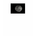 full moon t-shirts