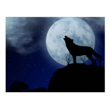 Full Moon Wolf Post Card