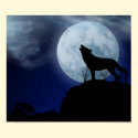 Full Moon Wolf posters