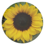 Full of Grace Sunflower Party Plates