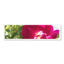 full open rose bumper stickers