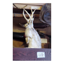 Full Size Jackalope $287.00 posters by cunningba Full Size Jackalope $287.00 posters
