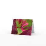 Fullmoon Maple Note Card
