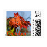 Fullmoon Maple • October Wedding Stamp