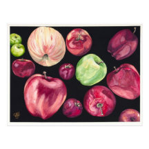 Fun Apples Post Card