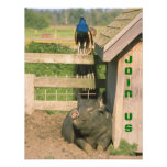 FUN BARNYARD FARM PARTY PEACOCK & HOG INVITATION