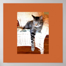 Fun cat in wicker chair Poster