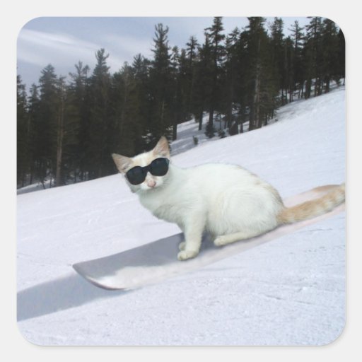 Fun Cat on a Snowboard Stickers Zazzle
