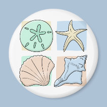 Fun Colorful Shells magnets