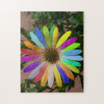 Fun Daisy Colors Puzzle