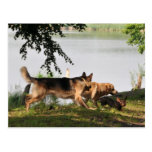 Fun, fun, fun! postcards