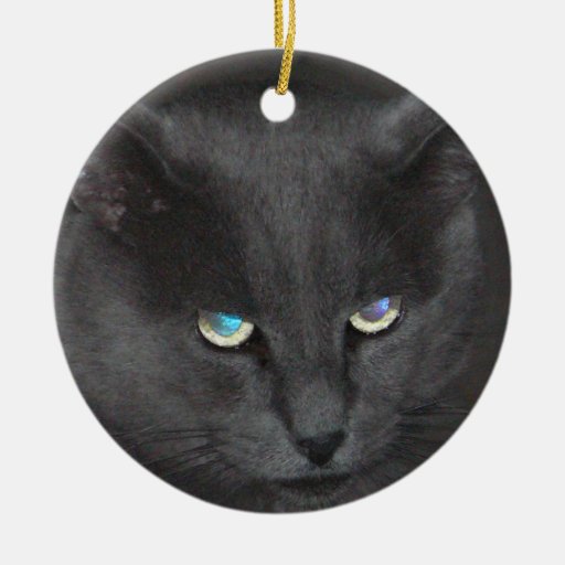 Fun Grey Kitty Cat w/ Colored Eyes Ornament