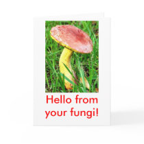 Fun Guy hello card