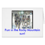 Fun in the Rocky Mountain sun! Greeting Cards