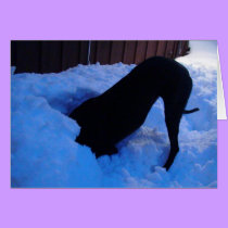 Fun in the snow cards