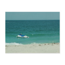 Fun In The Sun postcards by Debrene Fun In The Sun postcards