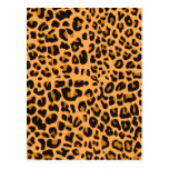 Fun Leopard Print Postcards
